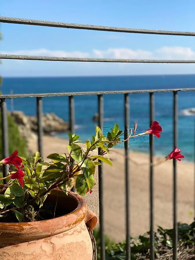 Cavall Bernat Apartments Platja d'Aro