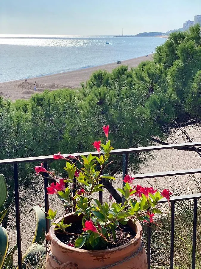 Cavall Bernat Apartments Platja d'Aro 0*,  Spain